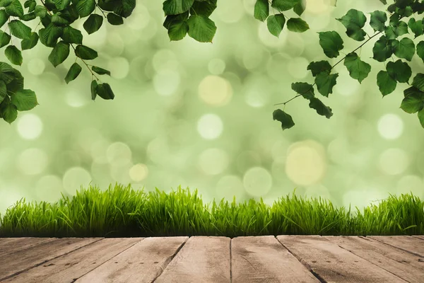 Green leaves, sward and wooden planks — Stock Photo