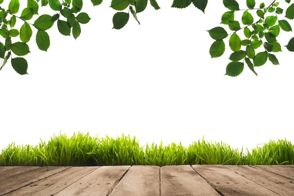 Green leaves, sward and wooden planks — Stock Photo