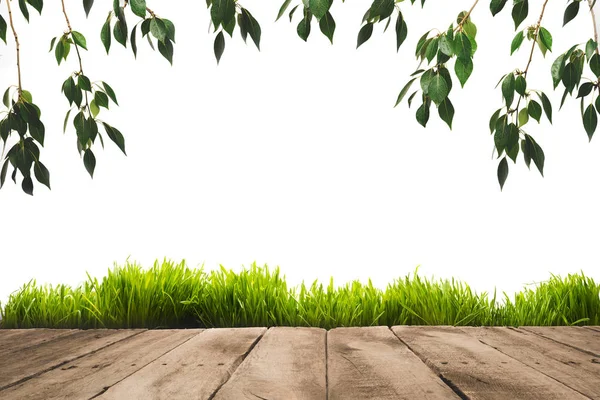 Foglie verdi, sward e tavole di legno — Foto stock