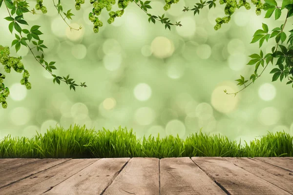 Foglie verdi, sward e tavole di legno — Foto stock