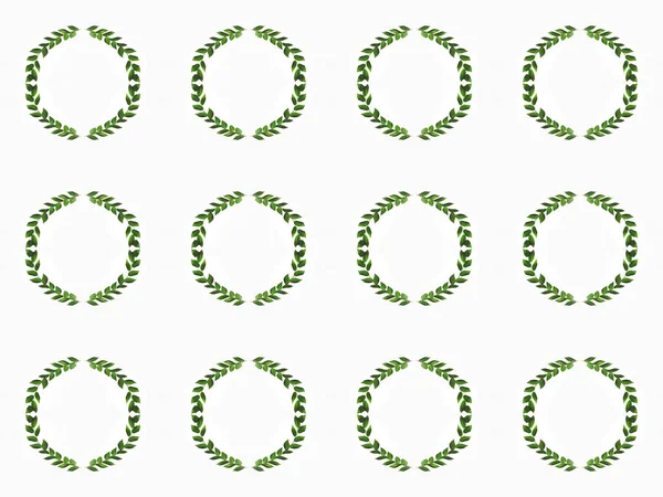 Arrangierte grüne Zweige mit Blättern — Stockfoto