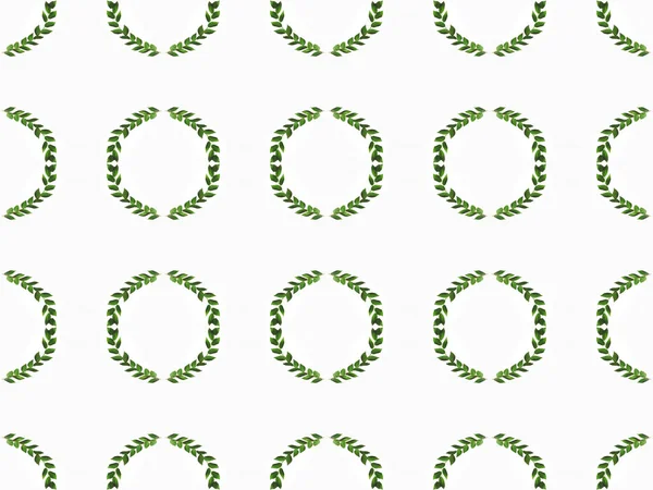 Arrangierte grüne Zweige mit Blättern — Stockfoto