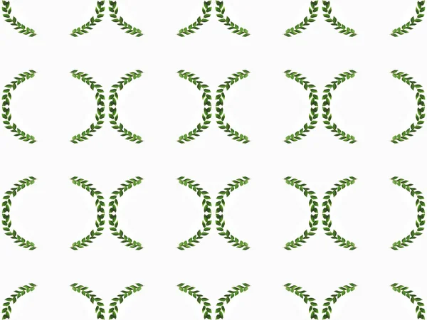 Ramas verdes dispuestas con hojas - foto de stock