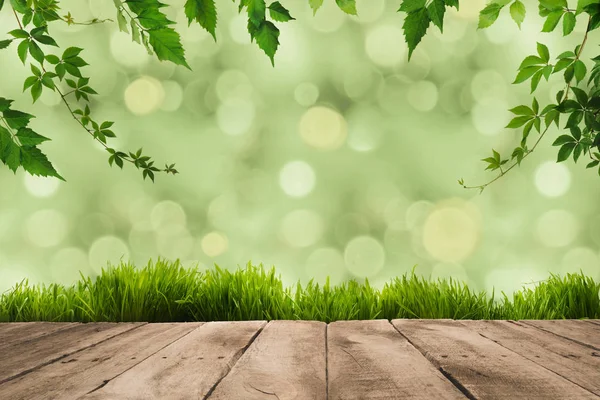 Folhas verdes, louças e tábuas de madeira — Fotografia de Stock