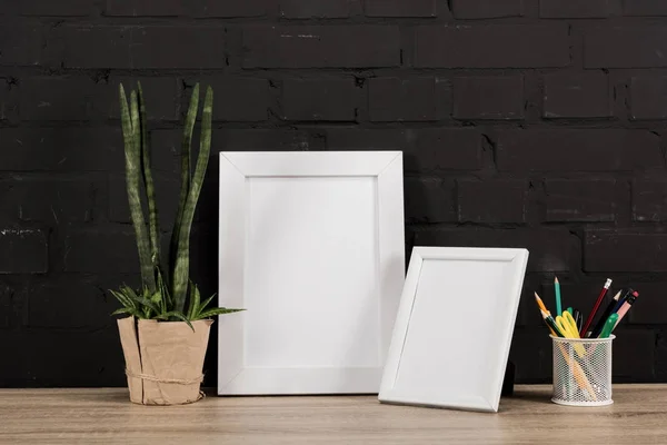 Photo frames and plant in flowerpot — Stock Photo