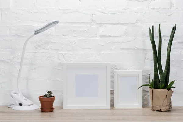 Cadres photo, plantes et lampe de table — Photo de stock