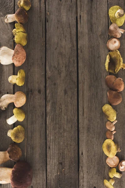 Holzoberfläche mit verschiedenen Pilzarten — Stockfoto