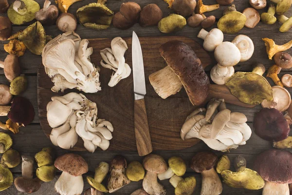 Different types of mushrooms on cutting board — Stock Photo