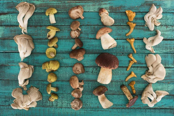 Different types of mushrooms on wooden surface — Stock Photo