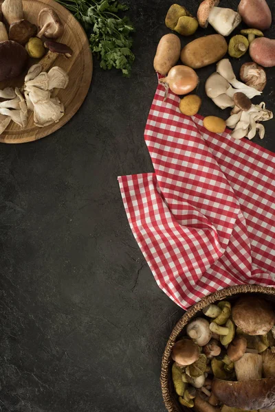 Cogumelos e legumes na superfície de concreto — Fotografia de Stock