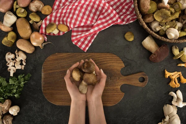 Woman holding mushrooms in hands — Stock Photo