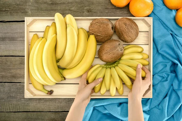 Hands with bananas and coconuts — Stock Photo