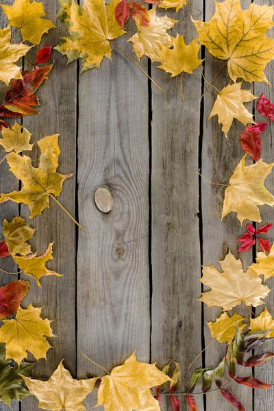 Frame of autumn leaves — Stock Photo