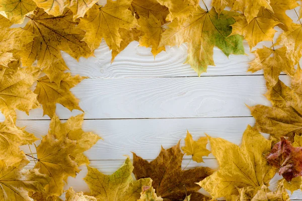 Foglie d'acero su superficie di legno — Foto stock