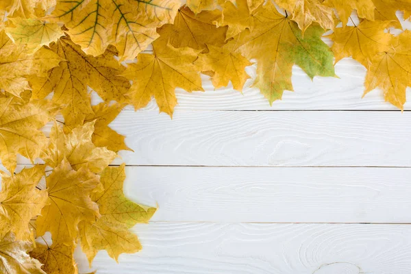 Maple leaves on wooden surface — Stock Photo