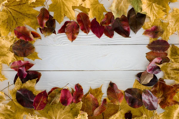 Frame of autumn leaves — Stock Photo