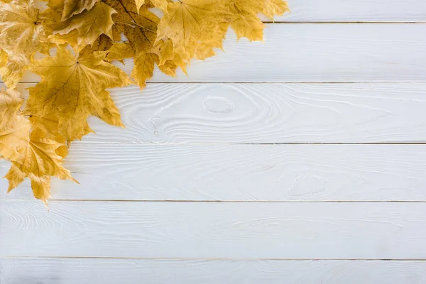 Maple leaves on wooden surface — Stock Photo