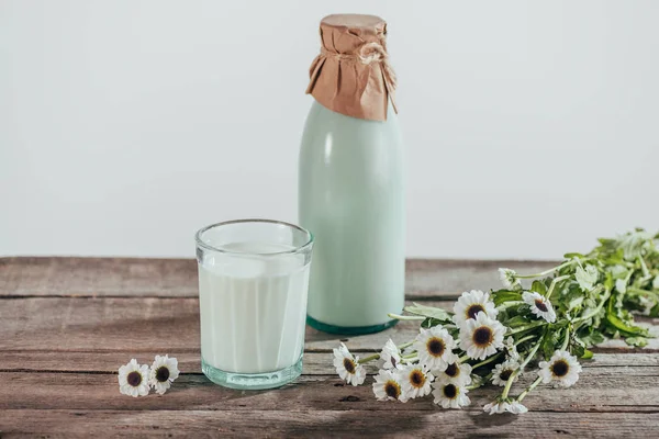 Latte fresco con camomilla — Foto stock