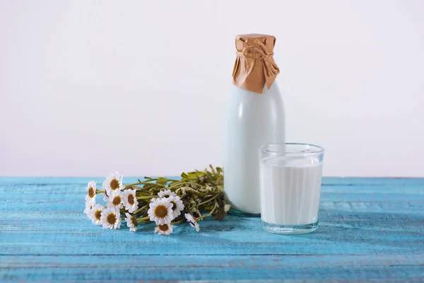 Milk with chamomile flowers — Stock Photo