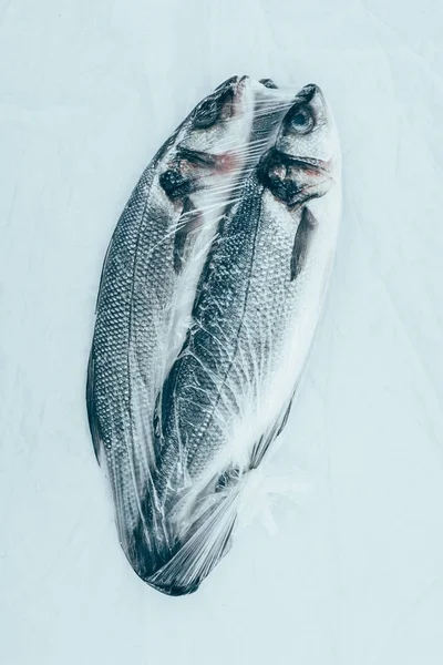 Primo piano vista del pesce di mare fresco sano isolato sul grigio — Foto stock