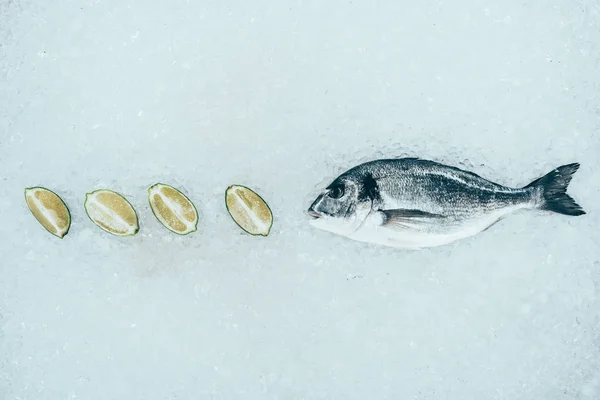 Vista de cerca de pescado dorado crudo sano y rodajas de lima sobre hielo - foto de stock