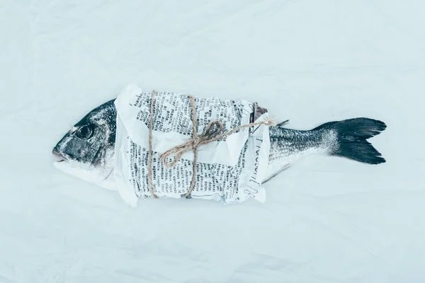 Крупним планом смачна риба дорадо, загорнута в папір з мотузкою на сірому — стокове фото