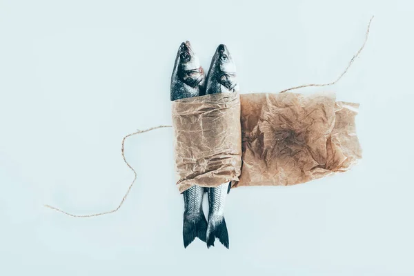 Крупный план вкусной здоровой рыбы на бумаге с веревкой, изолированной на сером — стоковое фото