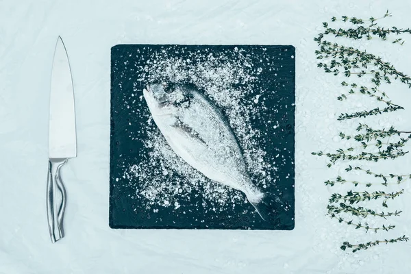 Vue de dessus de délicieux poissons dorado avec glace sur planche d'ardoise et couteau avec des herbes sur gris — Stock Photo