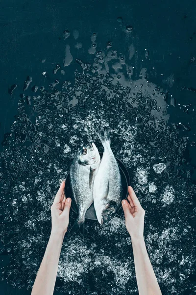 Tiro recortado de mãos humanas segurando prato com peixe dorado orgânico fresco em preto — Fotografia de Stock