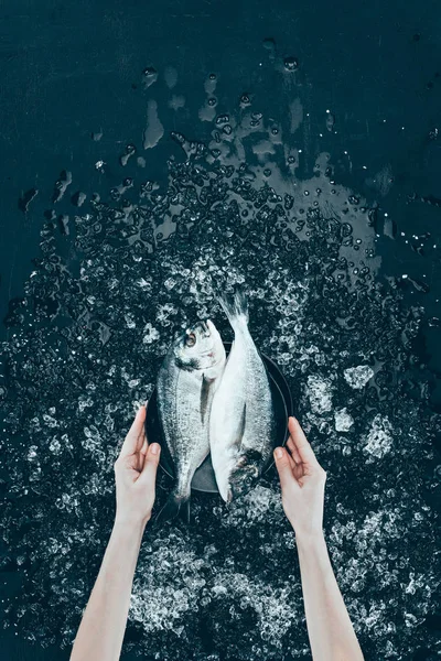 Tiro recortado de manos humanas sosteniendo placa con pescado dorado orgánico fresco en negro — Stock Photo