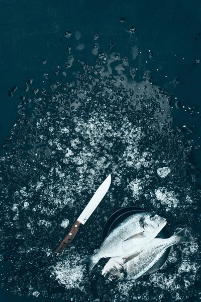 Top view of fresh raw dorado fish on plate and knife with ice on black — Stock Photo