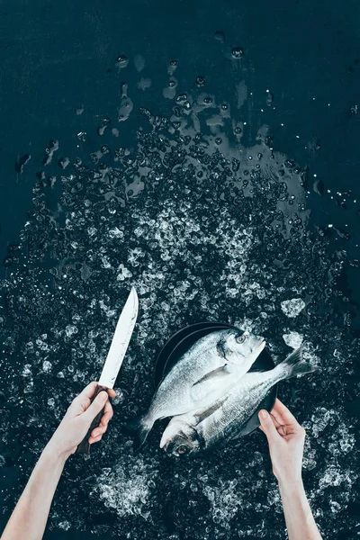 Tiro recortado de manos humanas con cuchillo y pescado dorado fresco en negro - foto de stock