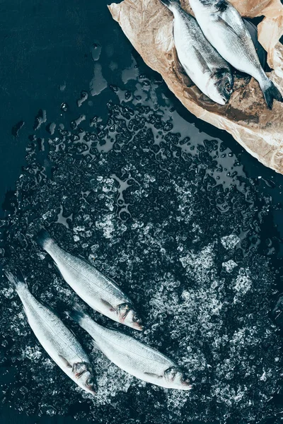 Vista dall'alto di pesce branzino crudo sano con ghiaccio e salmone su carta su nero — Foto stock