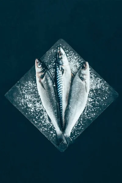 Top view of fresh raw mackerel and sea bass on slate board isolated on black — Stock Photo