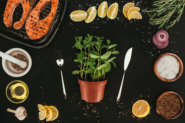 Top view of mint in pot with fork and knife, salmon steaks and seasonings on black — Stock Photo