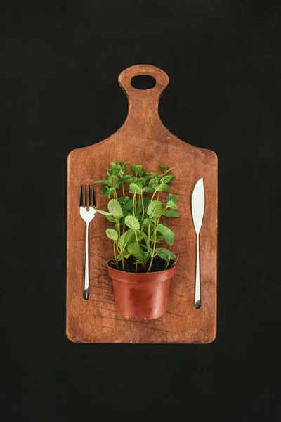 Top view of mint in pot and fork with knife on wooden cutting board on black — Stock Photo