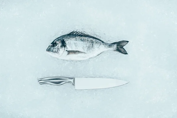 Vue de dessus du poisson dorado cru et couteau sur glace — Photo de stock