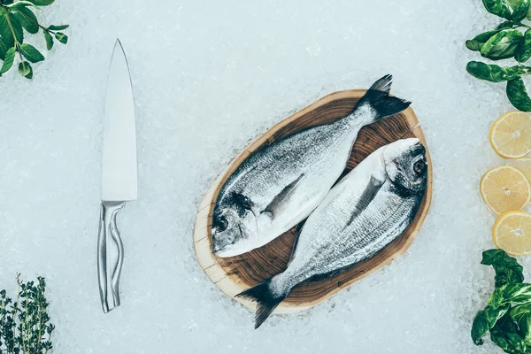 Vue de dessus du poisson dorado cru et couteau avec des ingrédients sur la glace — Photo de stock