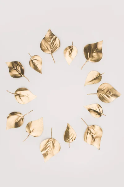 Vista de perto das folhas douradas dispostas em círculo isolado em cinza — Fotografia de Stock