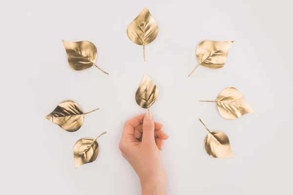 Partial view of female hand and arranged golden leaves isolated on grey — Stock Photo