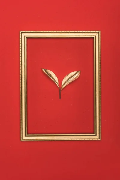 Vista superior del marco de fotos de oro y la planta aislada en rojo - foto de stock