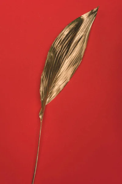 Close up view of bright golden leaf isolated on red — Stock Photo