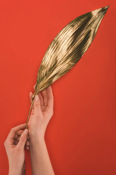 Partial view of female hands holding golden leaf isolated on red — Stock Photo