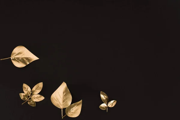 Top view of various colored in golden leaves isolated on black — Stock Photo