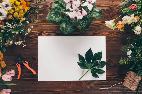 Top view of empty sheet of paper with green leaf on florist table — Stock Photo