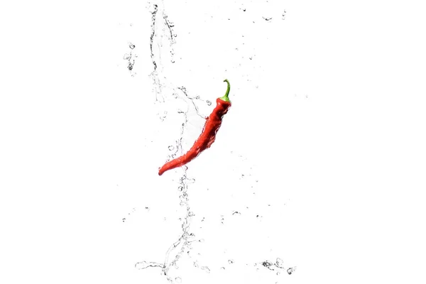 Red hot chilli pepper in water splashes isolated on white — Stock Photo