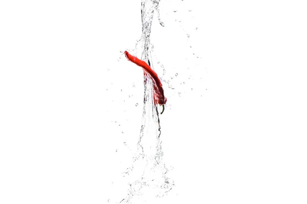 Peperoncino rosso piccante in spruzzi d'acqua isolati su bianco — Foto stock