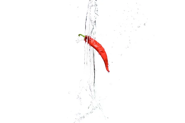 Red hot chilli pepper in water splashes isolated on white — Stock Photo