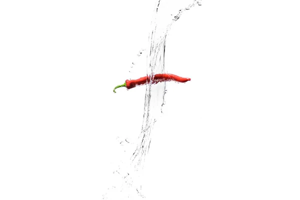 Rote Chilischote in Wasser spritzt isoliert auf weißem — Stockfoto