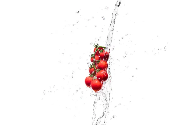 Frische Kirschtomaten in Wasser spritzt isoliert auf weiß — Stockfoto